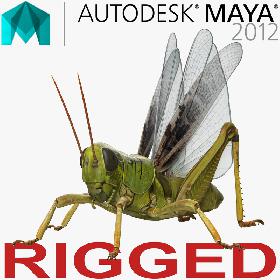 3D Grasshopper Rigged for Maya